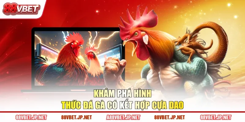 Khám phá hình thức đá gà có kết hợp cựa dao