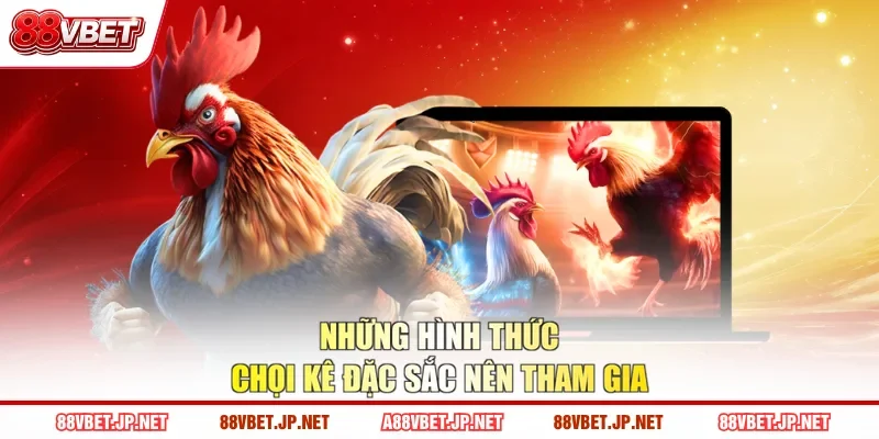 Những hình thức chọi kê đặc sắc nên tham gia