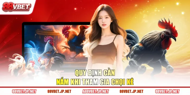 Quy định cần nắm khi tham gia chọi kê